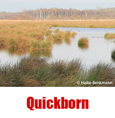 Quickborn