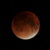 Blutroter Mond – Die totale Mondfinsternis am 7. September
