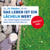 Das Leben ist ein Lächeln wert