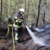 Flammen bis zu fünf Meter hoch: Großeinsatz bei Wald- und Moorbrand am Wildpark Eekholt