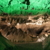 Geologische Führung durch die Kalkberghöhle am Tag des Geotops