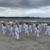 Jede Menge Karate, Gemeinschaft und tolle Erfolge im Kyotokan
