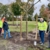 Neue Bäume für Quickborn: Einheitsbuddeln und Apfelbaum-Challenge