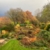 Offener Garten im November