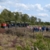 Tuckern, Bratwurst und Natur – Naturgenussfahrten bei der Torfbahn im Himmelmoor