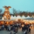 Weihnachtszauber in Lübeck und Bremen:  VHS Quickborn lädt zu zwei Adventsfahrten ein