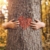 Wald & Wellness – Waldachtsamkeitsspaziergang bei der VHS