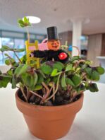 Das war der Neujahrsempfang AufTakt 2026 der Stadt Kaltenkirchen!