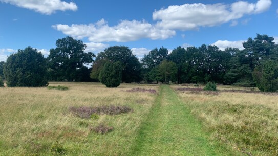 Der Totengrund in der Lüneburger Heide