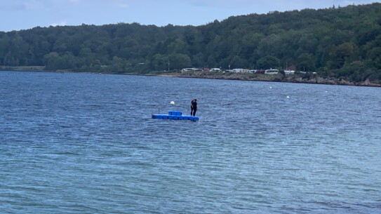 Ein Bummel am Heikendorfer Strand ist eine schnelle Reise wert!