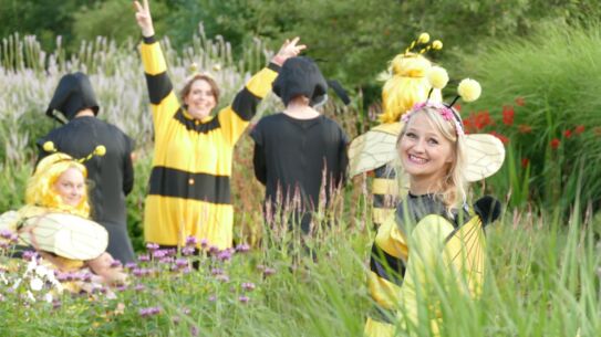 Die Biene Maja fliegt in Norderstedt
