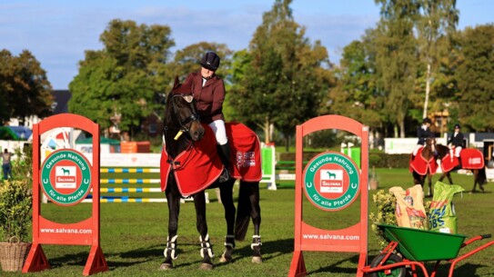 SALVANA Hunter Cup- Hunterreiten vor großer Kulisse