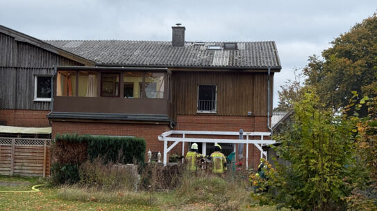 Küchenbrand in Hitzhusen - Haustiere tot