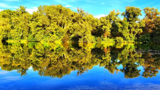 Künstlergespräch zur Ausstellung „Weite Welten, Stille Momente“ in Nahe