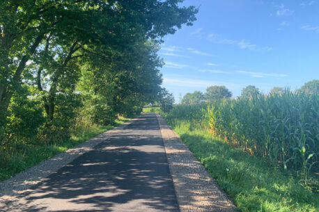 Sanierung Waldweg und „Waldbrücke“