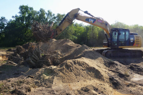 Hier entsteht ein Zauneidechsen-Paradies