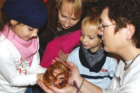 Exota feiert 15. Auflage am 5. und 6. Oktober