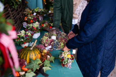Veranstaltungen und Ausflüge in den Herbstferien im Kreis Segeberg
