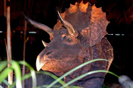 Die Dinosaurier kommen nach Neumünster