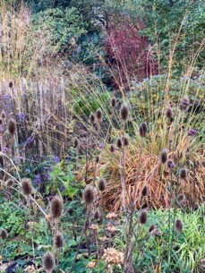 Letzter offener Garten in Norderstedt für dieses Jahr