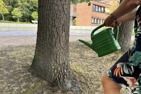Gemeinsam für die Bäume in Quickborn