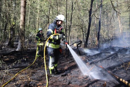 Flammen bis zu fünf Meter hoch: Großeinsatz bei Wald- und Moorbrand am Wildpark Eekholt