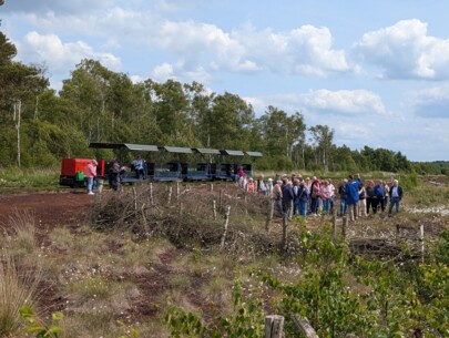 Tuckern, Bratwurst und Natur – Naturgenussfahrten bei der Torfbahn im Himmelmoor