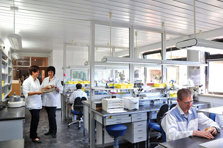 Passende Lösung für unfallbedingten Zahnverlust