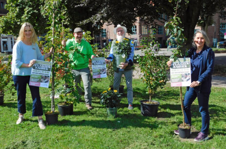 Gärtnermarkt „Pflanzenzauber“ am 24.09.2023 in Kaltenkirchens Innenstadt