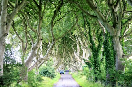 Einsteigen und mitfahren: Reiseshow mit Oliver Lück