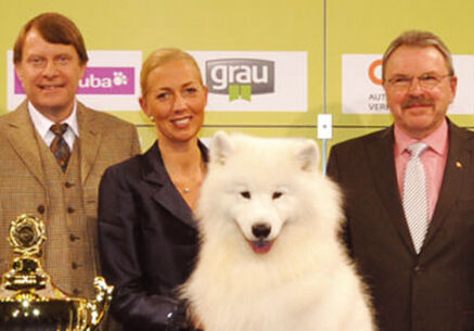 Internationale Rassehundeausstellung am 30. und 31. Mai