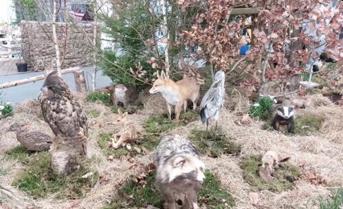 8. „OUTDOOR jagd & natur” – der Countdown läuft! Jagen, Angeln, Outdoor, Grillen