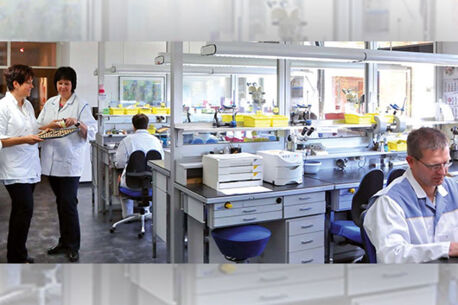 50 plus – „Best Age“