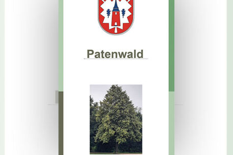 Baumpatenschaft im Geburten- und Patenwald 