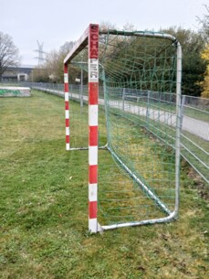 Wer hat dieses Tor gesehen?