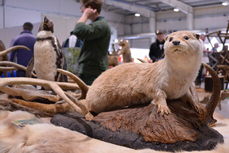 Das war die OUTDOOR 2017 jagd & natur (Fotogalerie)