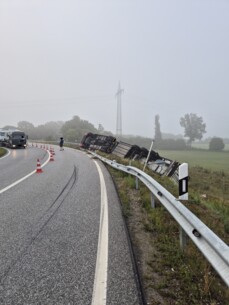 Stundenlange Bergung - Sattelzug mit Schweinehälften umgekippt