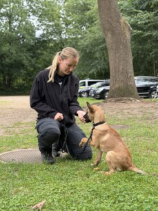 Nachwuchs in der Diensthundestaffel der PD Neumünster