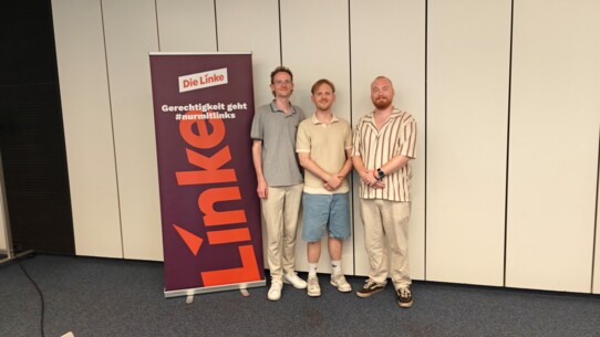 Junges Trio soll es richten - Linke nominieren Direktkandidaten zur Landtagswahl