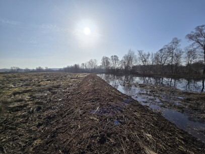Wiedervernässung im Heidmoor: Arbeiten werden  fortgesetzt