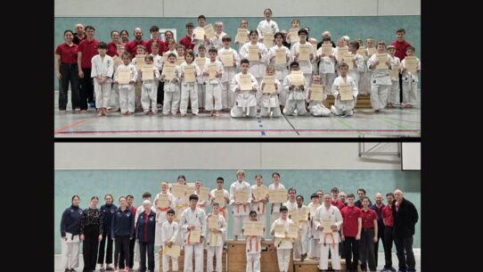 Starker Auftakt bei Karate-Vereinsmeisterschaft