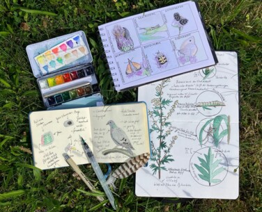 „Nature Journaling“ im Stadtpark Norderstedt