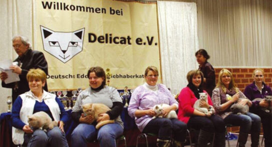 Alles für die Katz am 2. Februar