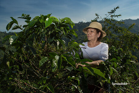 Kaltenkirchen ist weiterhin Fairtrade-Stadt
