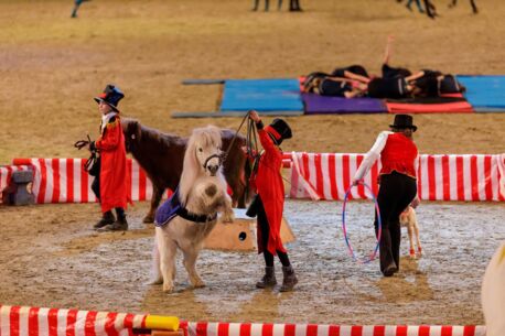 Der Schauwettbewerb der Reitvereine lädt zum 30-jährigen Jubiläum