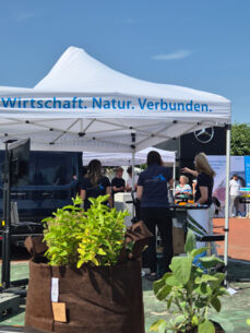 Vielfältiges Angebot trifft auf große Resonanz bei STARTER OPEN Air 2025