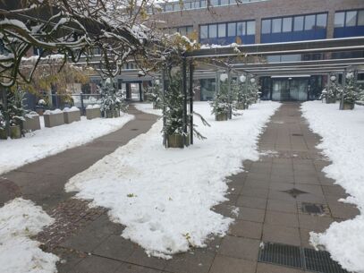 Sichere Wege bei Schnee und Eis - Dank an Bürger