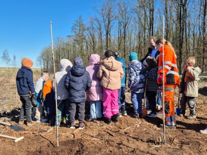 Schulkinder pflanzen junge Ahornbäumchen