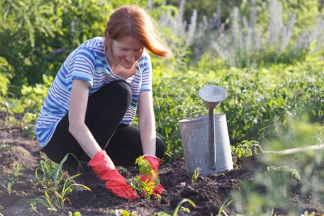 Kleine Wunden, schlimme Folgen: Gesunder Start in die Gartensaison im Kreis Segeberg