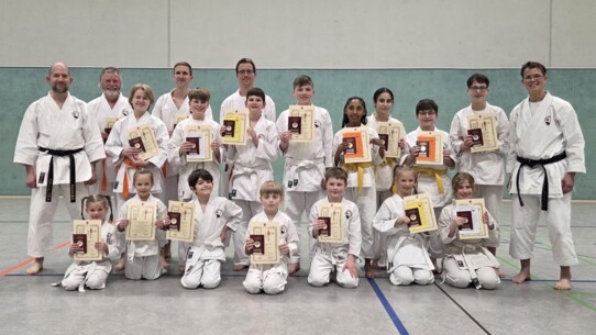 Erfolgreiche Kyu-Prüfungen bei der Kaltenkirchener Turnerschaft